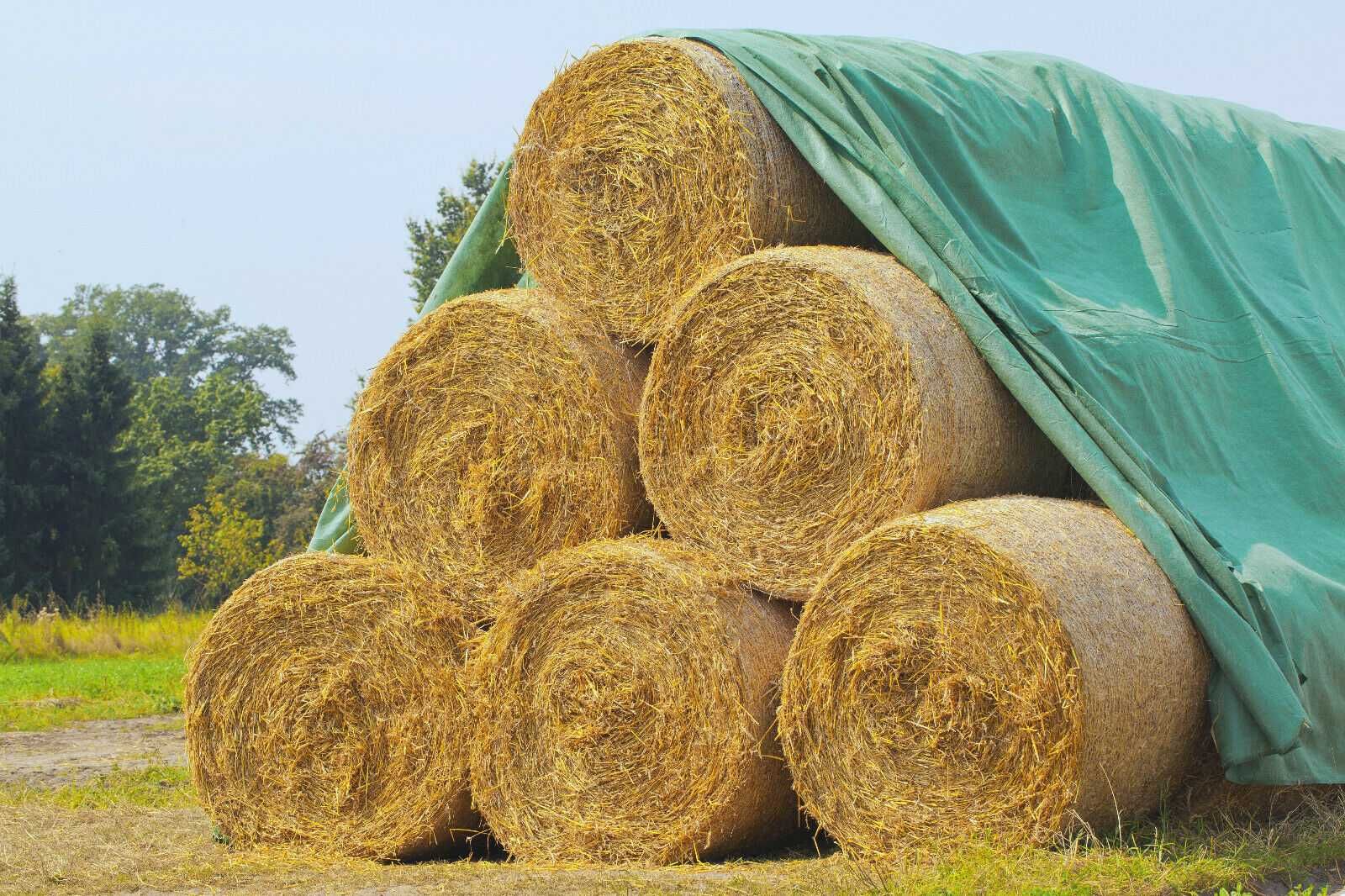 Fliz - włóknina ochronna na słomę i siano 140g PREMIUM
