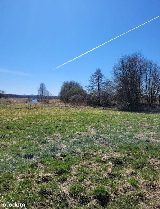 Rekreacyjna z widokiem na las