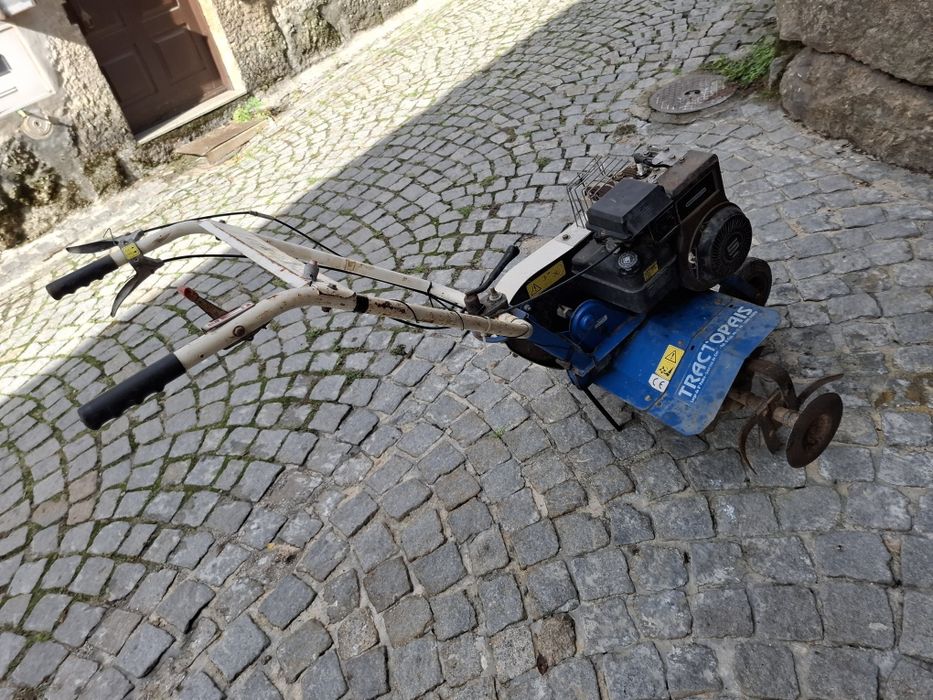 Motoenchada Briggs e Stratton