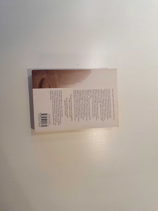 Carlos Ruiz Zafon, Cień Wiatru