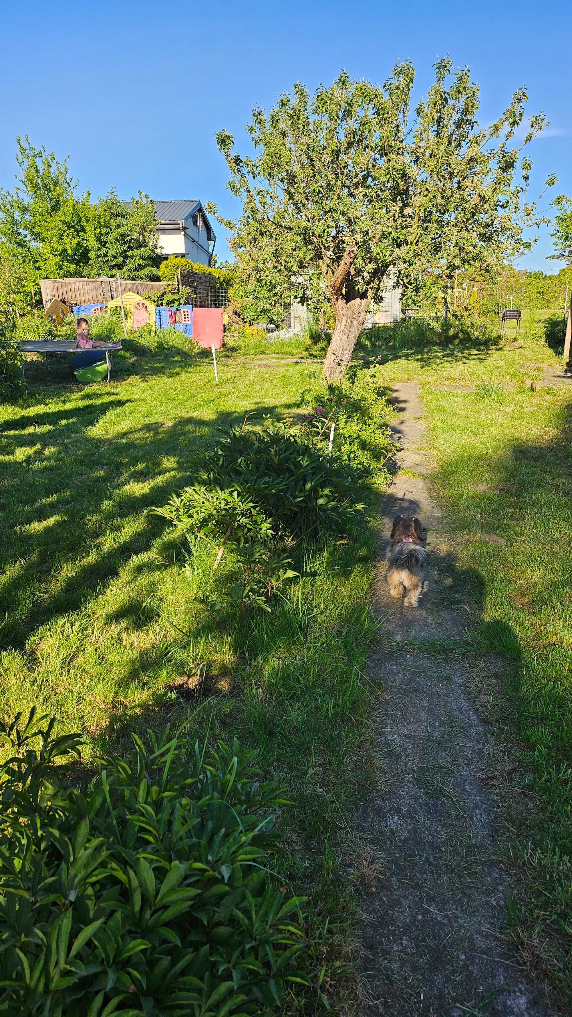 Działka Rod Panorama