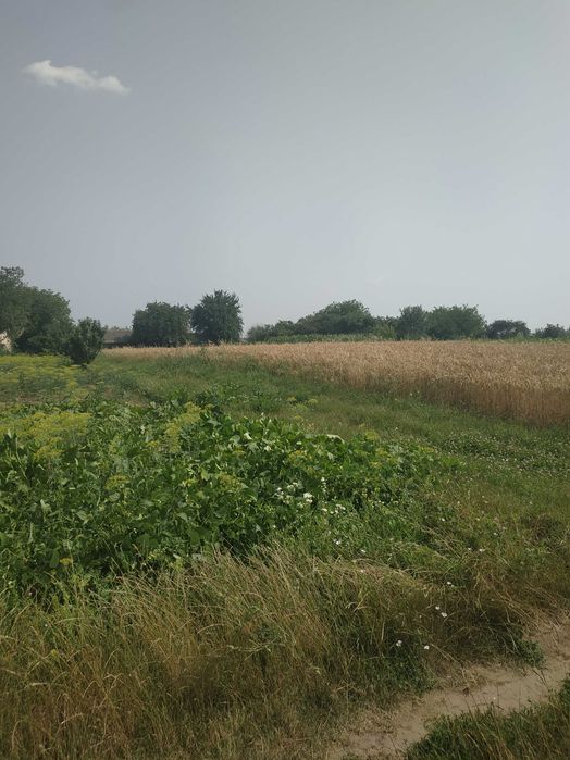 Продам  земельну ділянку біля Рівного