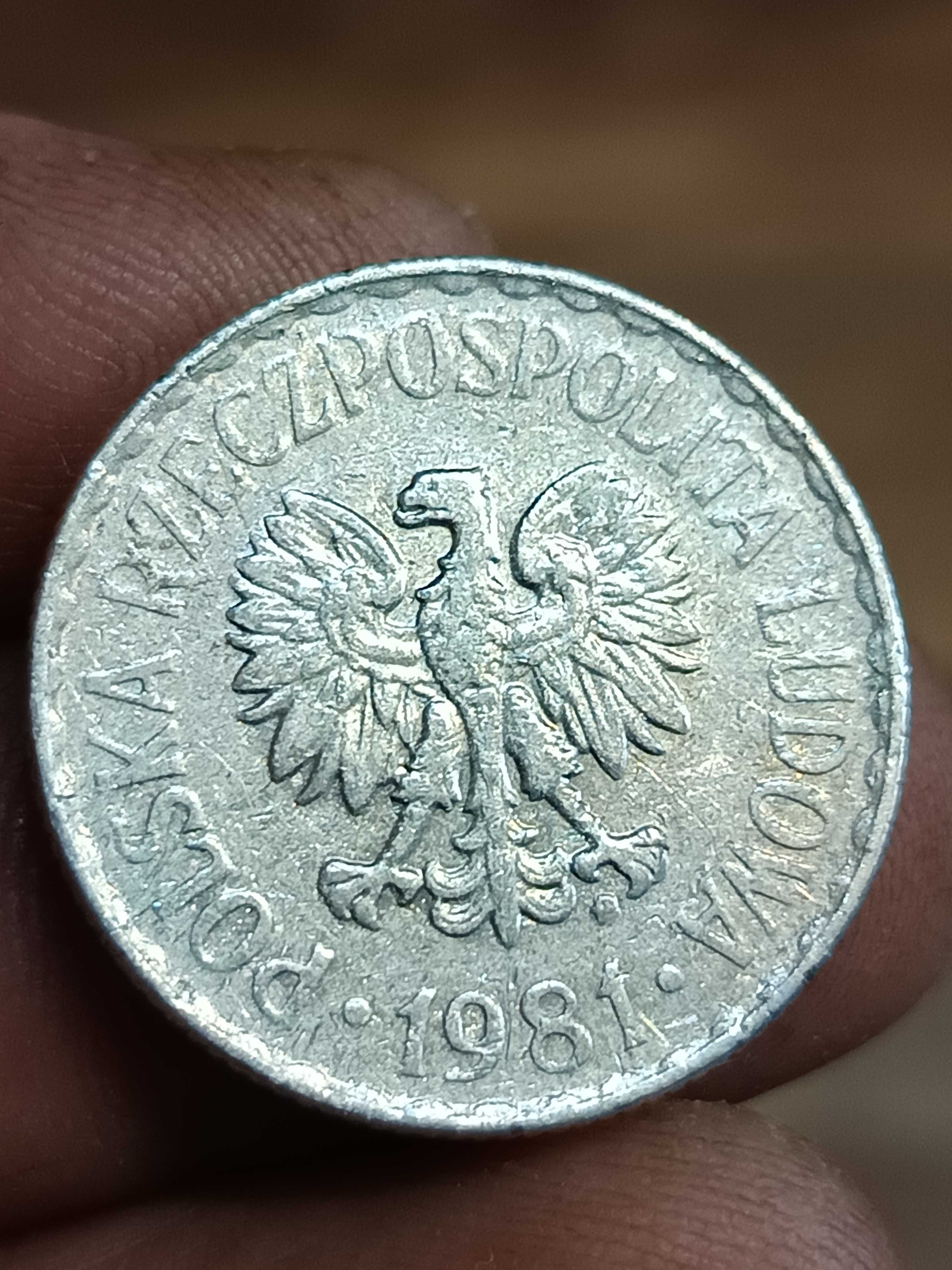 Sprzedam 1 zloty 1981 rok