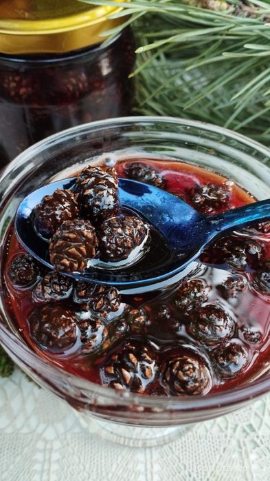 Варенье из сосновых шишек 2025