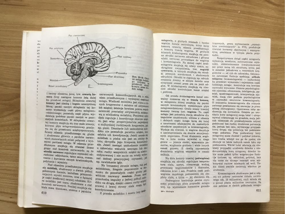 Biologia Villee Książka