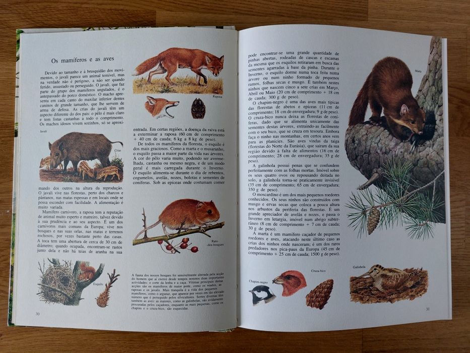 Livro Animais e Plantas de todo o Mundo