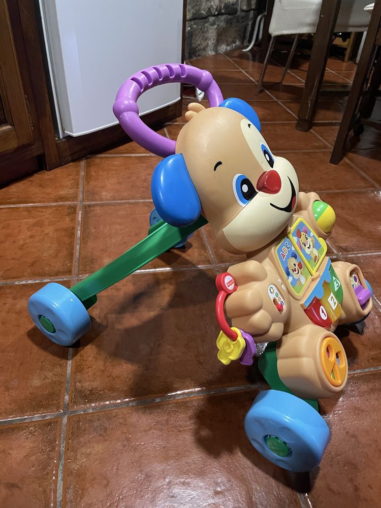 Andarilho Fisherprice