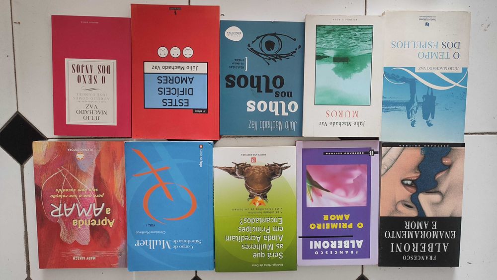 Lote 24 Livros sobre Psicologia da Sexualidade