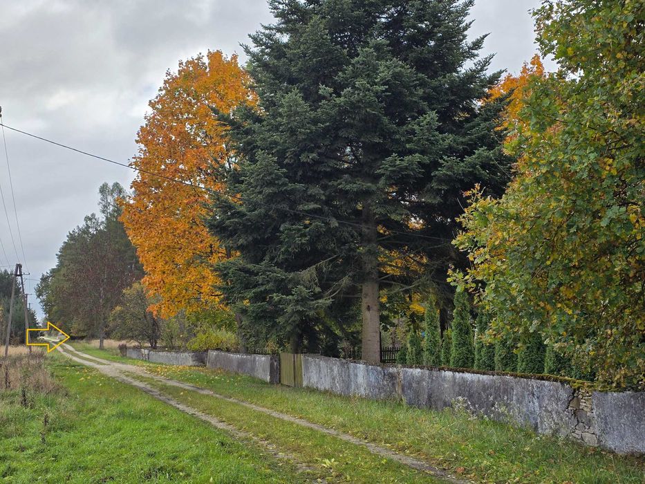 Działka w lesie pod dom / leśniczówkę - Galów gm. Busko-Zdrój