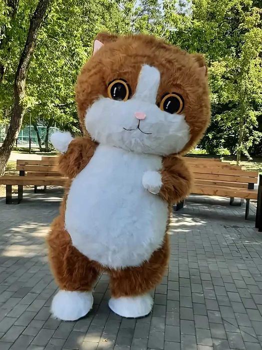 надувные  костюм котика 2 метра высота -котик и 3 метра -мишка