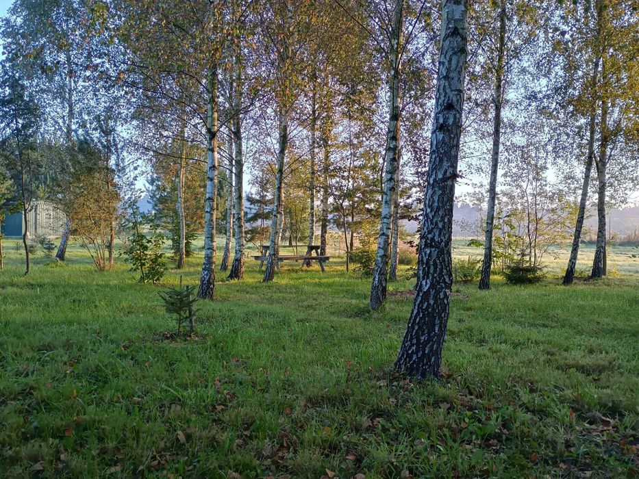 Działka budowlana WZ dom rekreacyjny całoroczny - koło lasu i jeziora