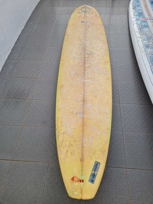 Longboards NSP, Torq e OMNi