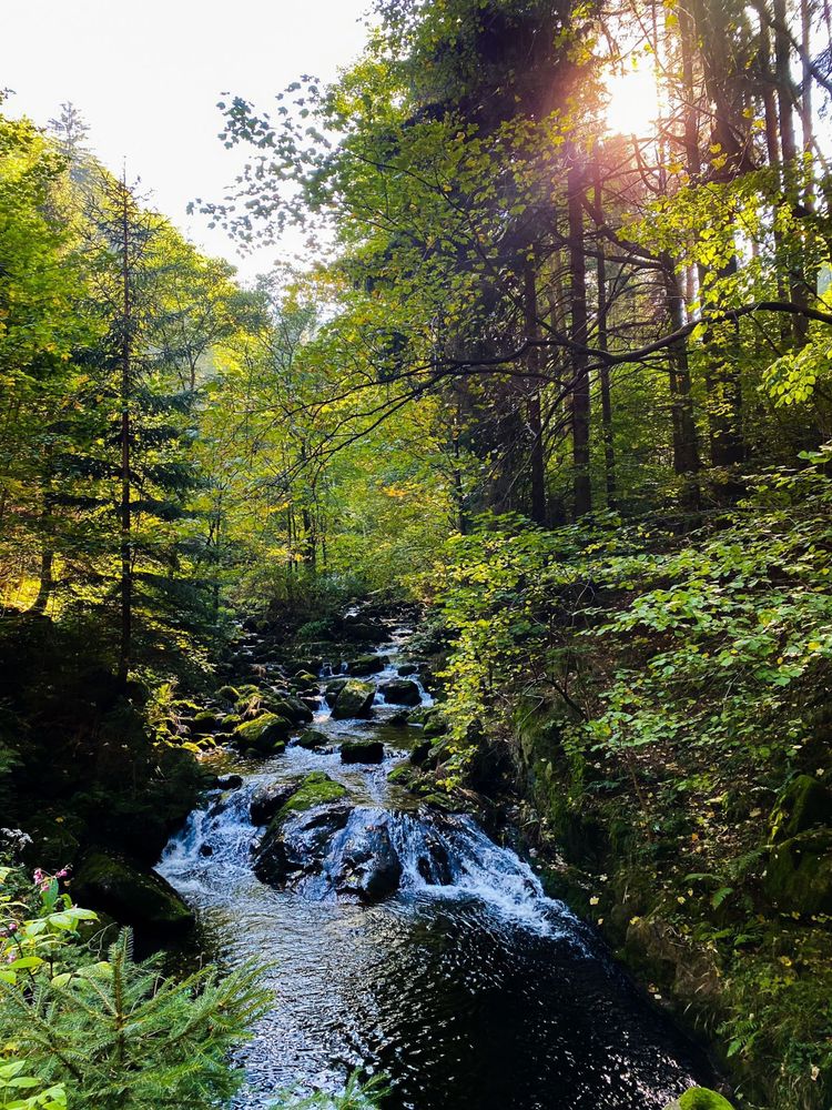 Domek w Karkonoszach