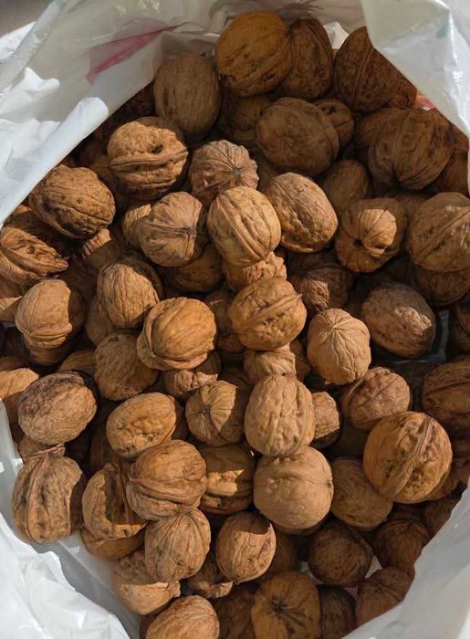 Vende se nozes para a revenda