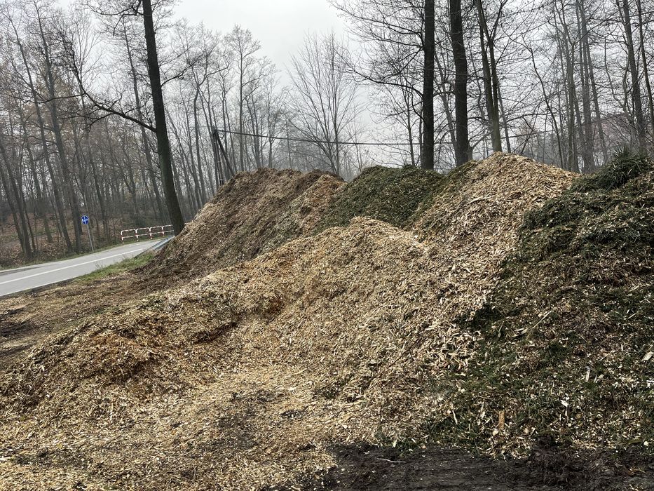 Zrębka, biomasa, zrębka leśna