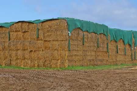 Fliz do słomy włóknina agrowłóknina otulina 140g Niemiecka JAKOŚĆ ®