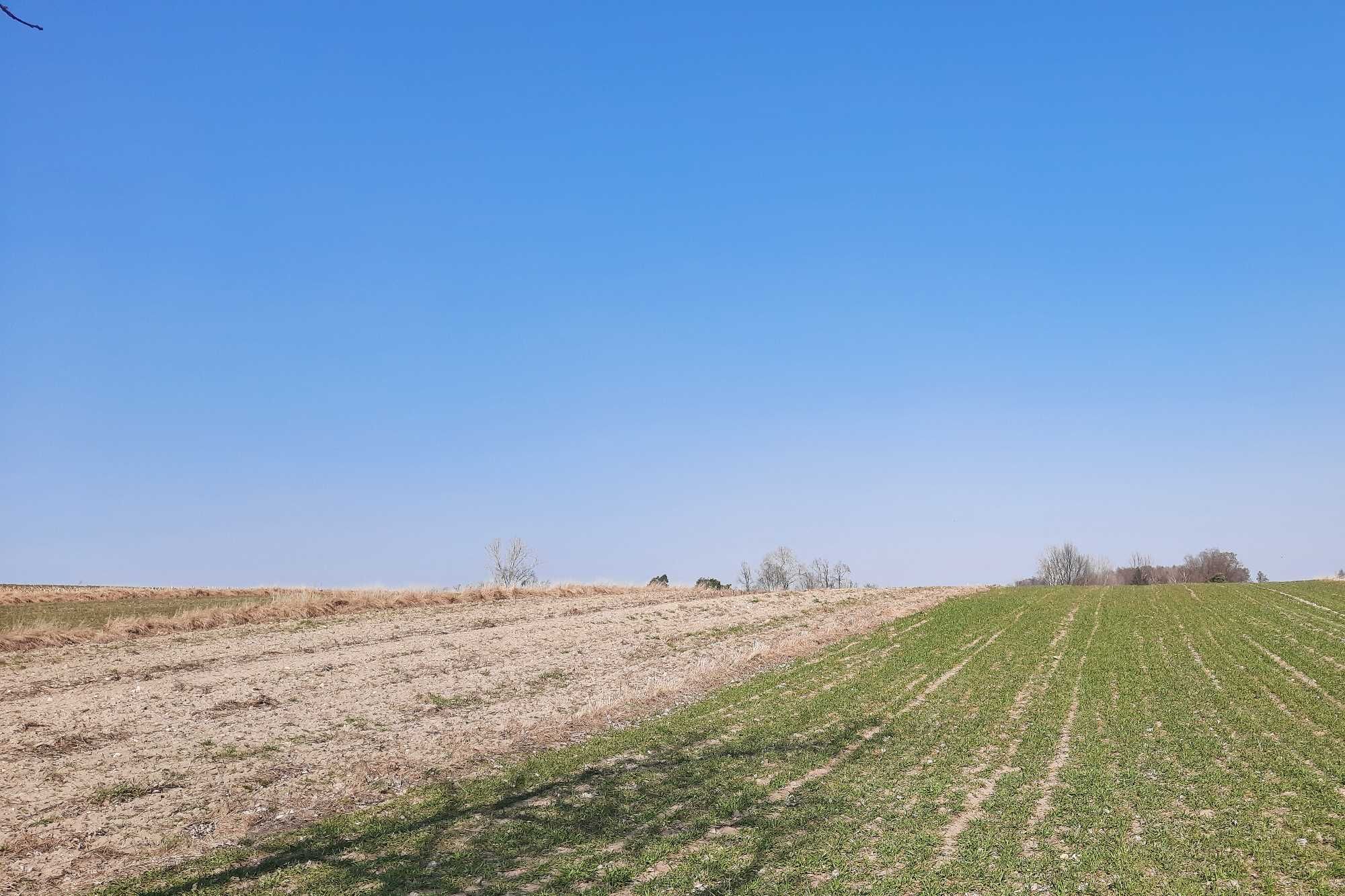 Działka rolno-budowlana Godzianów 7800 m/kw