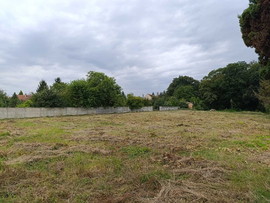 Koszenie traw,wycinki,glebogryzarki