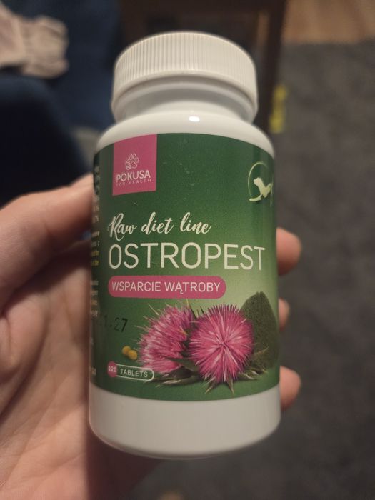 Ostropest pokusa suplementy dla psa