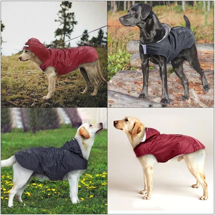 Capa Impermeável Cão