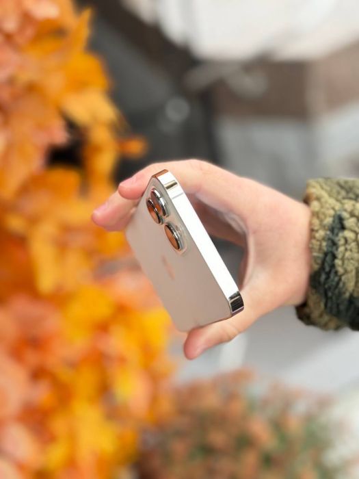 iPhone 13 Pro Max 128 GB Neverlock Гарантія