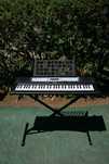 Teclado Yamaha PSR-E213 + Suporte