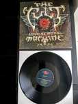 THE CULT

- Love Removal Machine 12" /


- Lil' Devil 12" Promo