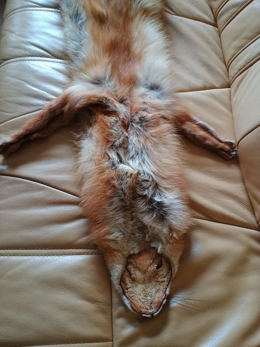 Naturalny szal/kołnierz z futra lisa rudego