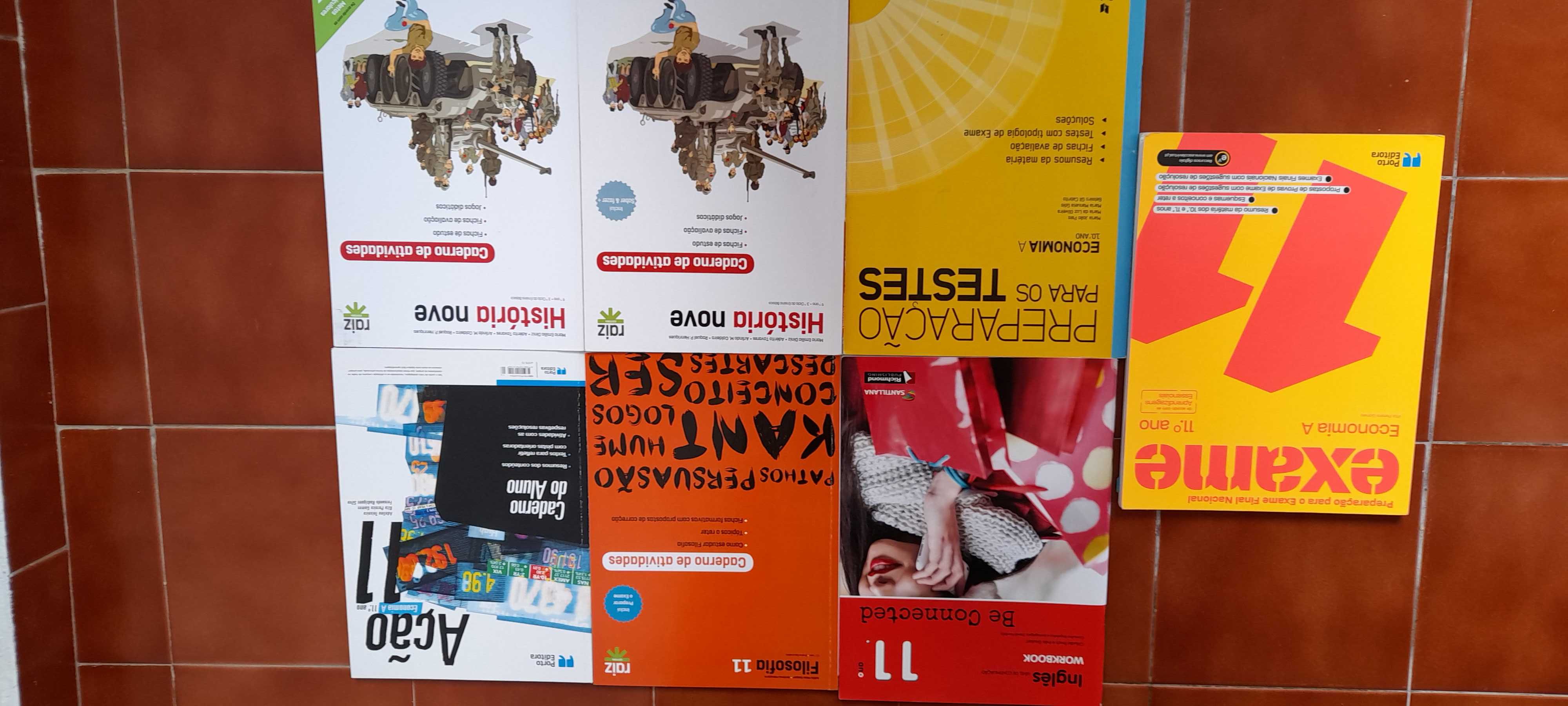 Livros do 9°/ 11° / 12° Ano