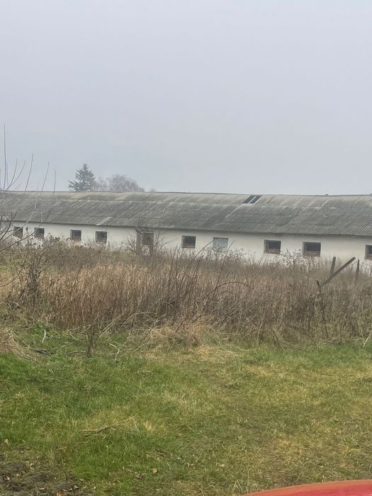 Свиноферми комерційна нерухомість