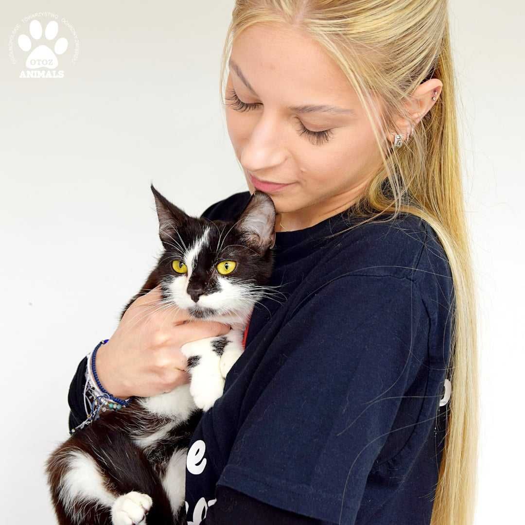 Młodziutki kocurek do adopcji! Poznajcie Cosmo!