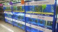 Аквариумные рыбки, аквариумы, оборудование, корма, растения в аквариум