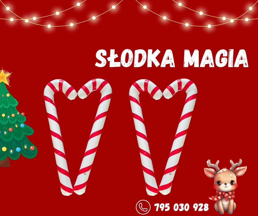 Wynajem Świętego Mikołaja