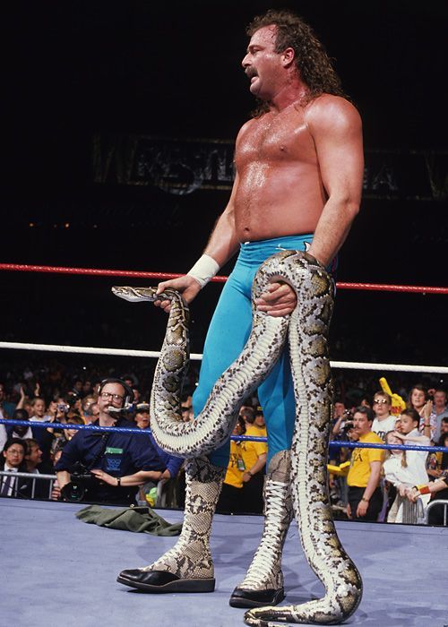 Рестлер Джейк "Змій" Робертс від Hasbro WWF.