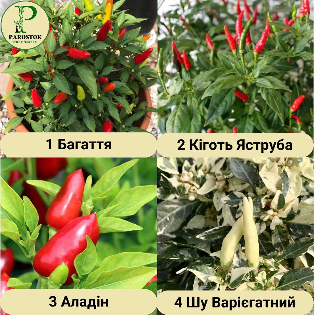 Колекція. Перець Кімнатний. Стручковий. Гострий. Капсикум (Capsicum).