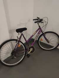 Bicicleta de Senhora Roxa