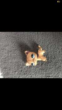 Figurka kot short hair unikat lps littlest pet shop 2 generacja