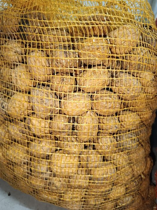 Nozes francesas bom calibre novo preço