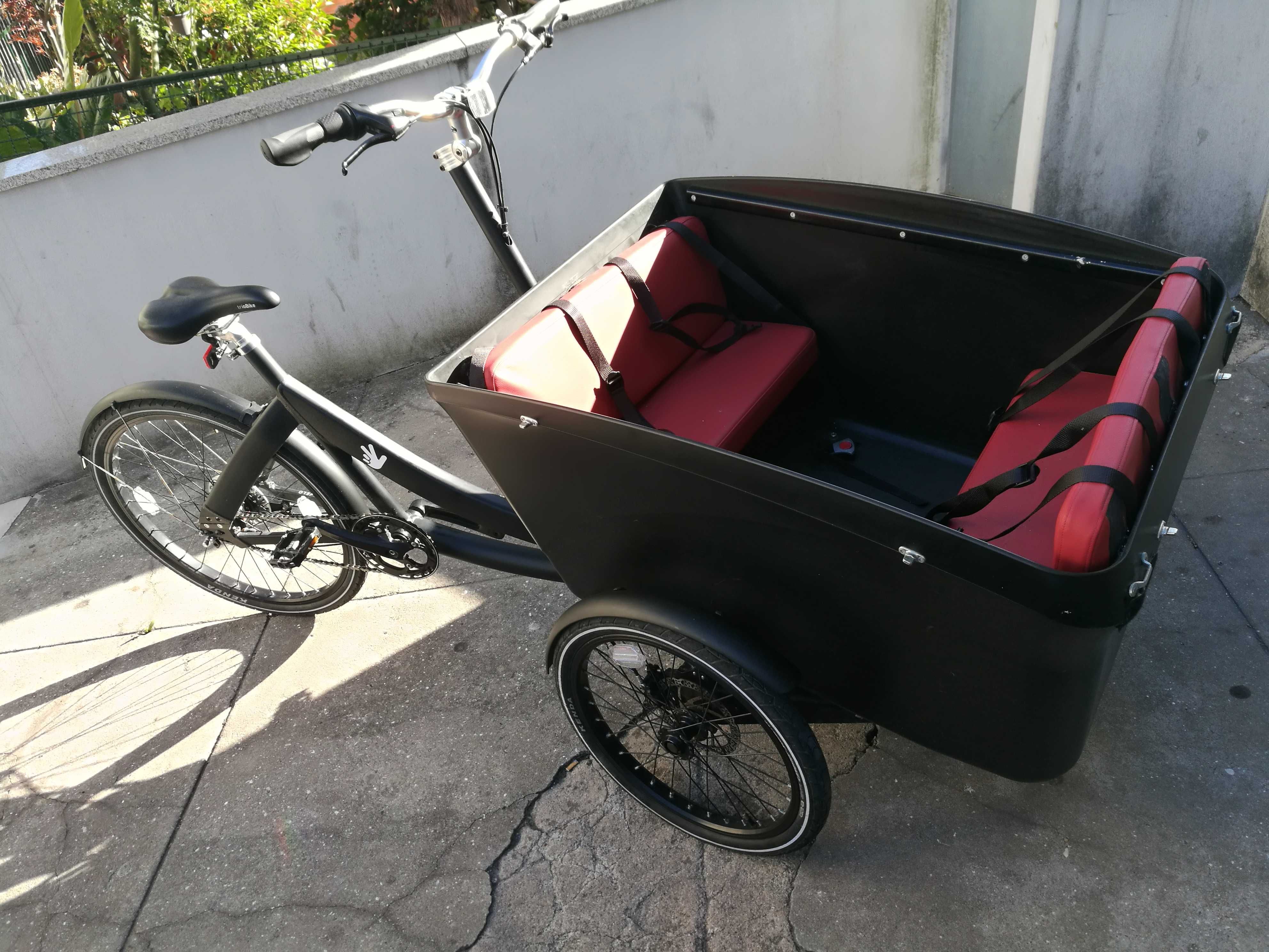 Trio-Bike Boxter Air   100 €