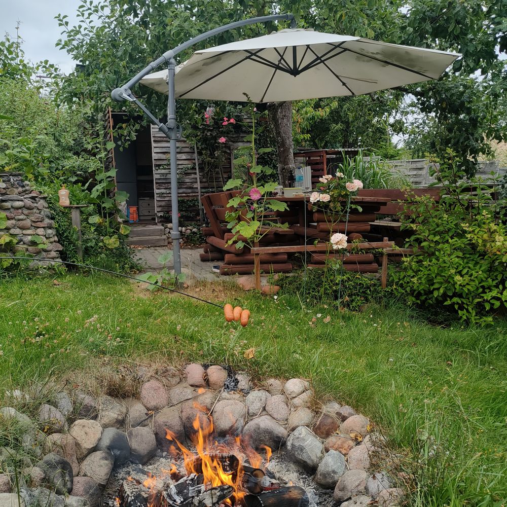 Działka ROD "Przylesie"