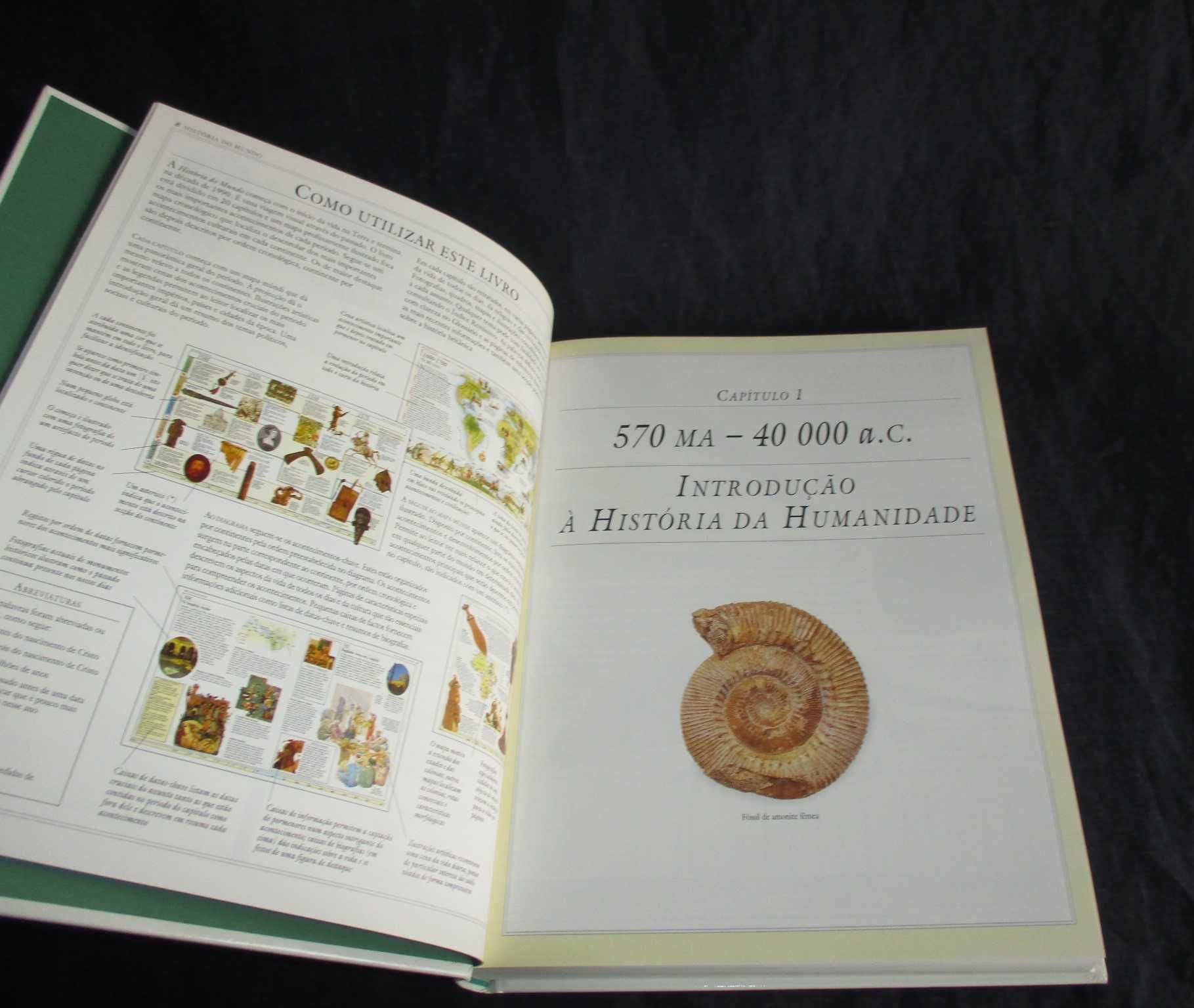 Livro História do Mundo Plantagenet Somerset Fry