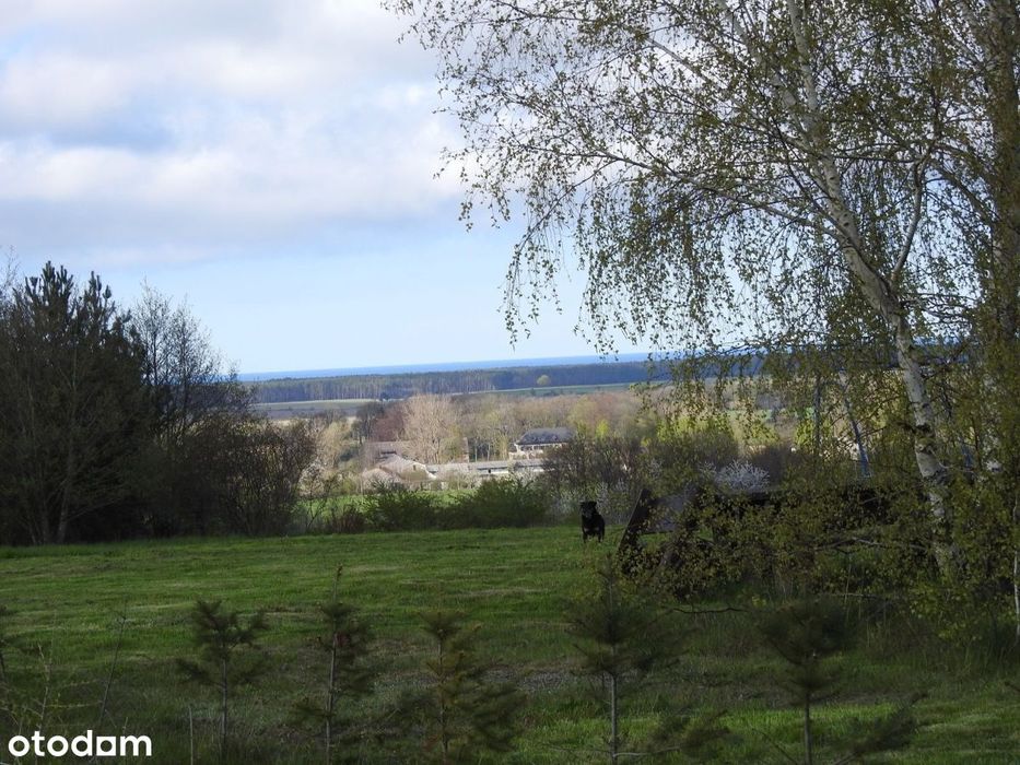 Magiczny widok na morze