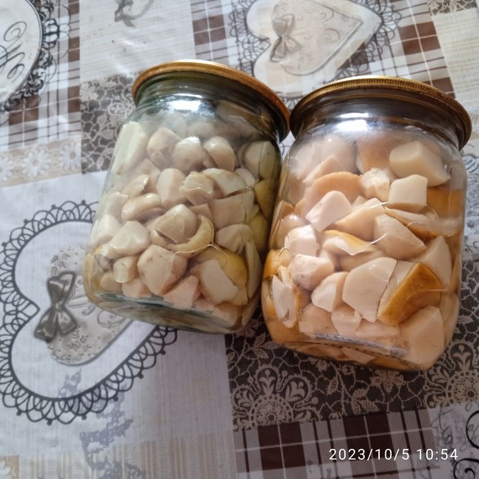 Гриби,мариновані,сушені білі