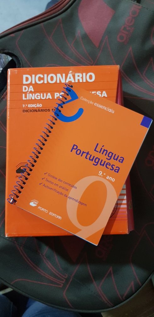 Dicionários de língua portuguesa