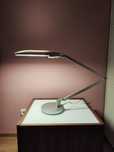 Designerska lampa na biurko stalowo-szara