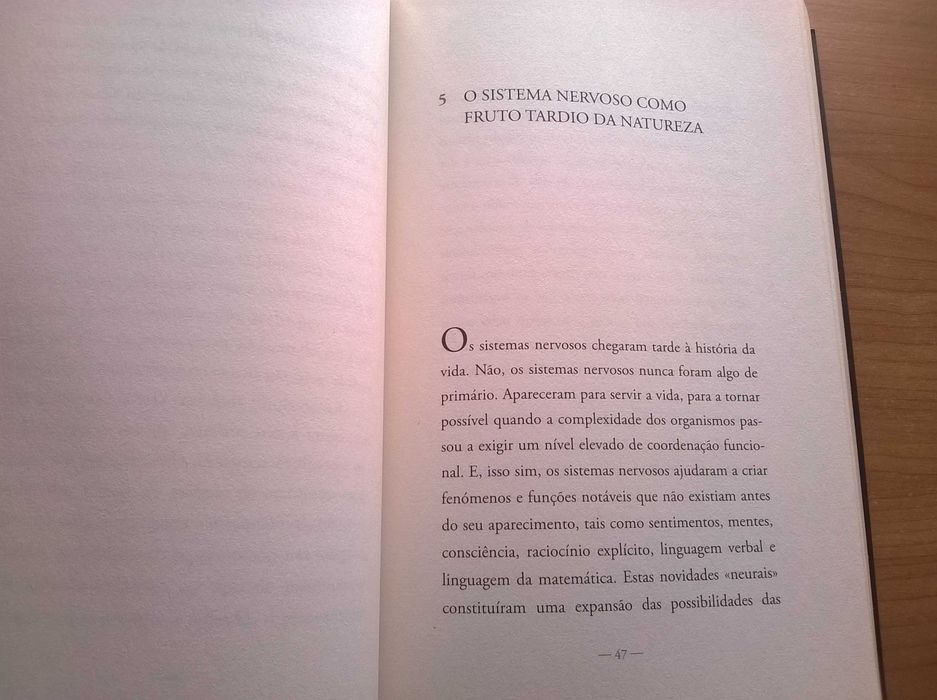 Sentir & Saber, A Caminho da Consciência - António Damásio