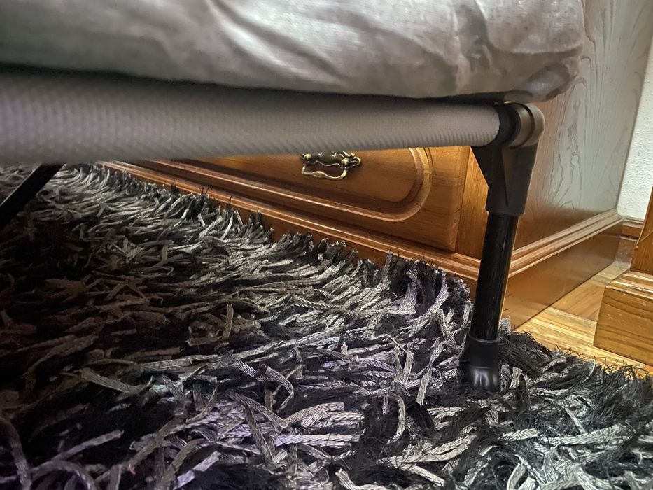 cama elevada para cao