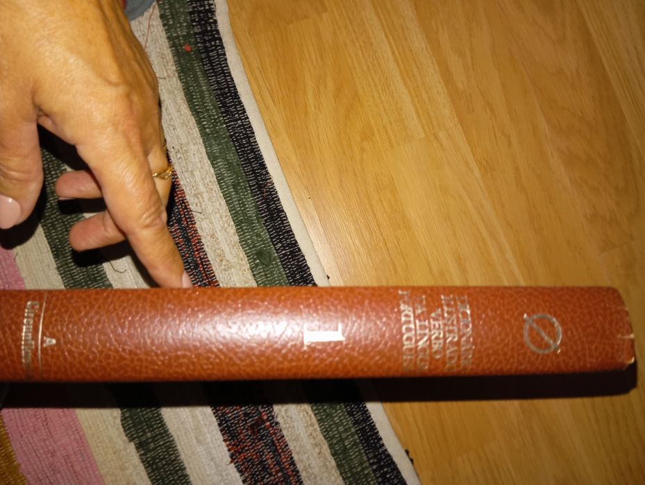 Dicionário ilustrado da verbo