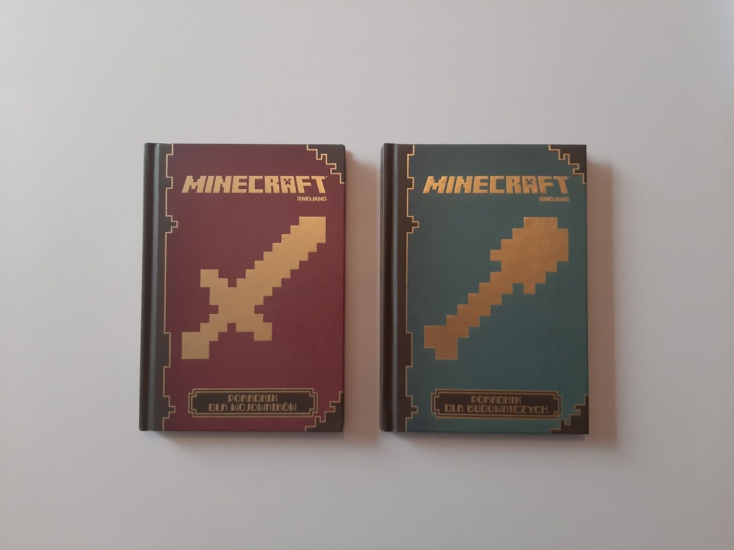 Książki / Poradniki Minecraft