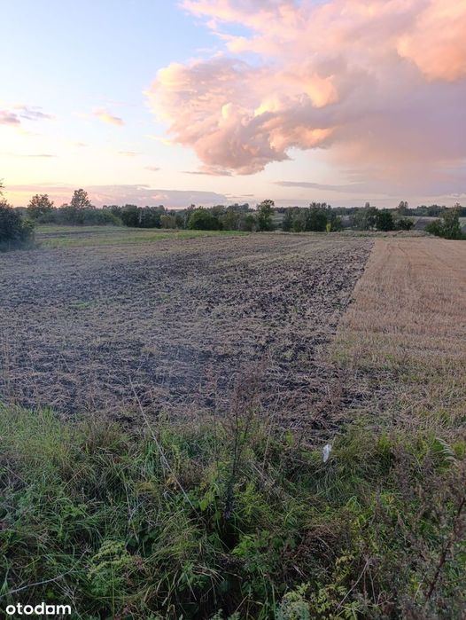 Działka przy Lesie- 7 km od Uzdrowiska BuskoZdrój 30ar lub 60ar!